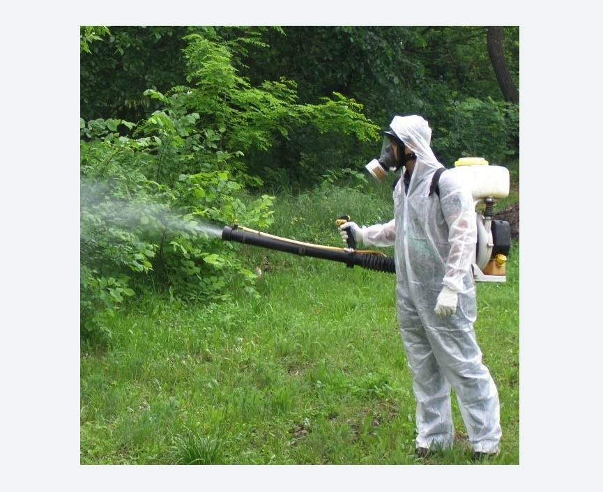 обработка территории от клещей в Мариинском Посаде