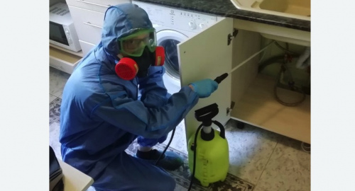 Уничтожение муравьев в квартире. Мариинский Посад