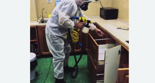 Уничтожение насекомых в квартире. Мариинский Посад