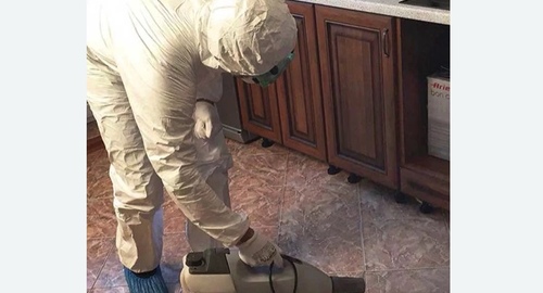 Уничтожение тараканов в квартире. Мариинский Посад