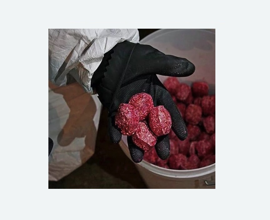 Обработка от крыс в Мариинском Посаде