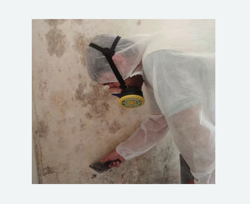 Обработка стен от плесени в Мариинском Посаде