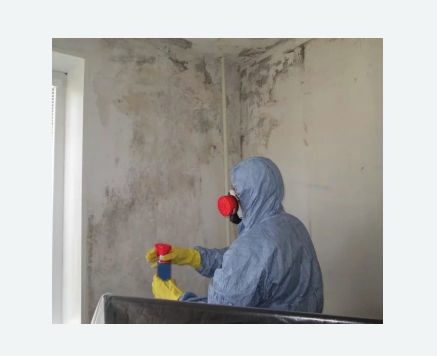 Удаление плесени в квартире в Мариинском Посаде
