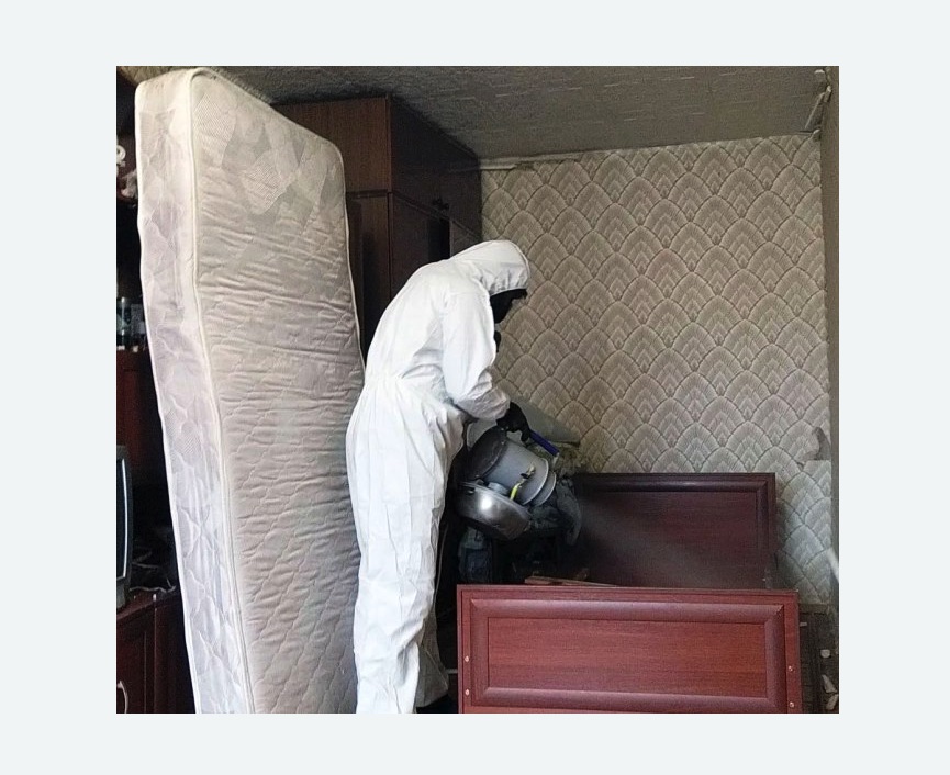 дезинфекция от клопов в Мариинском Посаде