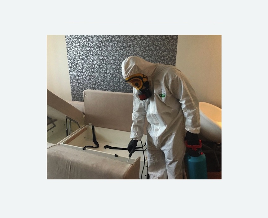 уничтожение клопов в квартире в Мариинском Посаде