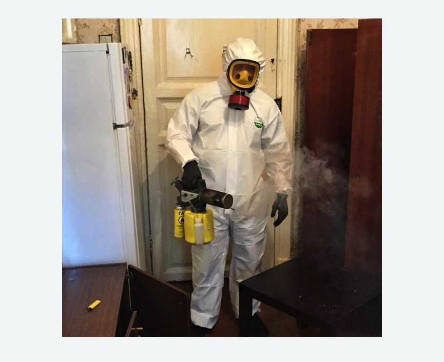 уничтожение муравьев в квартире в Мариинском Посаде